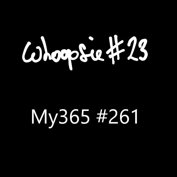 whoopsie-23