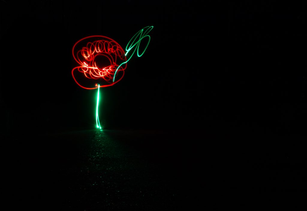 Light Painting - Poppy