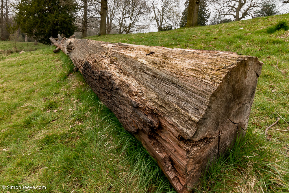 A long log bench